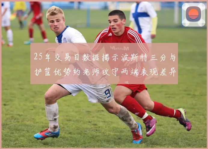 25年交易日数据揭示波斯特三分与护筐优势约老师攻守两端表现差异明显