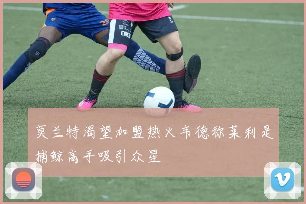 莫兰特渴望加盟热火韦德称莱利是捕鲸高手吸引众星