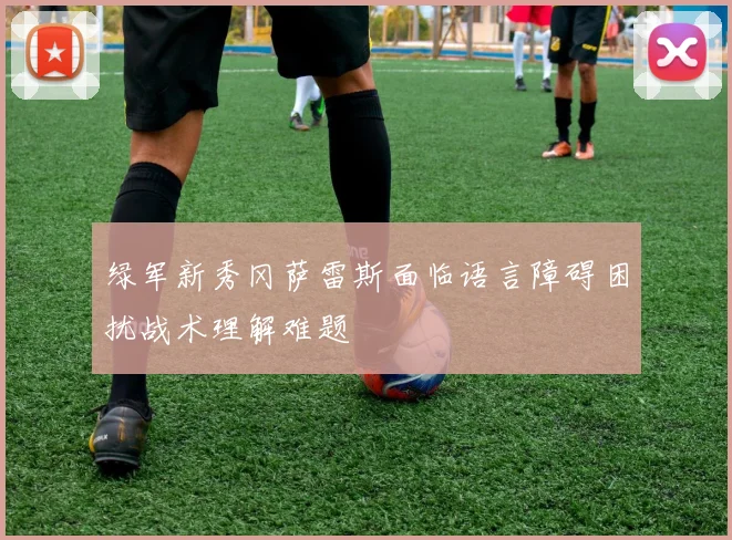绿军新秀冈萨雷斯面临语言障碍困扰战术理解难题