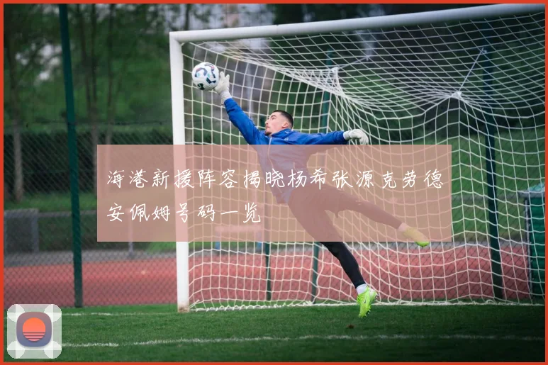 海港新援阵容揭晓杨希张源克劳德安佩姆号码一览