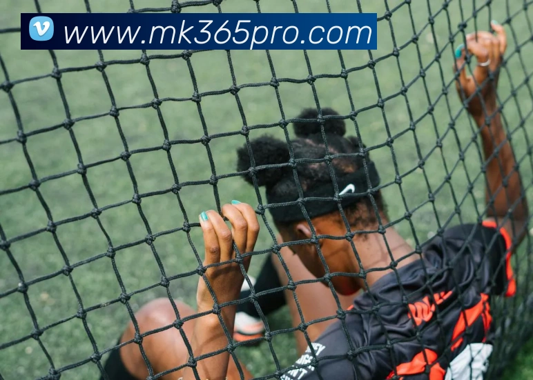 MK体育发展历程